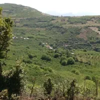1800 متر زمین باغی و کشاورزی در اشکورات سمام