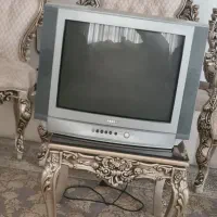 تلوزیون