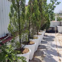 سیستم آبیاری قطره ای نصب راه اندازی و تعمیرات|خدمات باغبانی و درختکاری|رشت, بلوار گیلان|دیوار