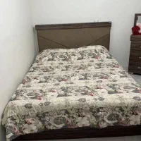 سرویس چوب سالم