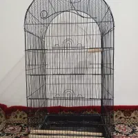 قفس عروس هلندی