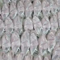 جوجه محلی گرم و