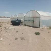 گلخانه فعال 5000هزارمتری فروش فوری|فروش دفتر صنعتی، کشاورزی، تجاری|خاش, |دیوار