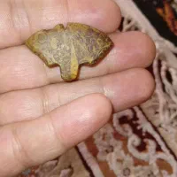سنگ مریخی وقیمتی خیلی قدیمیه