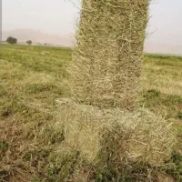 پرس زعفران  یونجه  کاه