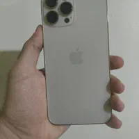 13pro max