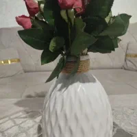 گلدان سالم و خوش رنگ