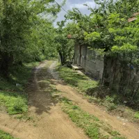 ویلای-جنگلی-در-روستای-بکر