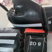 دستکش بوکس|تجهیزات ورزشی|اسدآباد, |دیوار