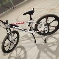 دوچرخه رینگ اسپرت