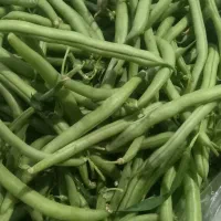 لوبیا سبز تازه و ارگانیک
