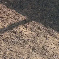 فروش کود کوسفندی