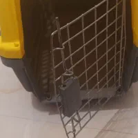 باکس حمل سگ و گربه|لوازم جانبی حیوانات|پردیس, فاز ۱|دیوار