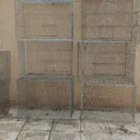 قفس قناری پرنده