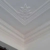 گچکاری و سفید کاری نوجوان