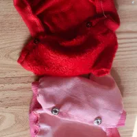 لباس خوکچه و همستر|موش و خرگوش|تبریز, |دیوار