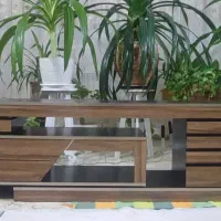 میز و سینما خانواده