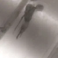 آنجل|ماهی|مرند, |دیوار