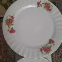 بشقاب چینی غذا خوری|ظروف سرو و پذیرایی|بروجرد, |دیوار