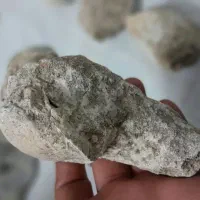 فوسیل|کلکسیون اشیاء عتیقه|زنجان, |دیوار