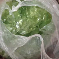 وسایل گلسازی|ابزارآلات|مشهد, شهرآرا|دیوار