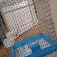 قفس مسافرتی