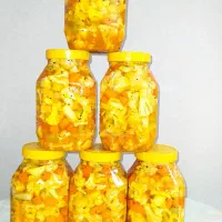 ترشی خانگی تازه وخوشمزه