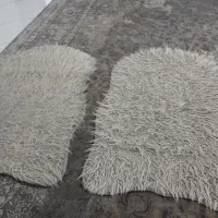 ۲عدد پادری در حدنو