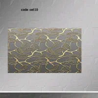 فرشینه ترمز دار