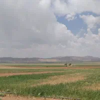 زمین کشاورزی