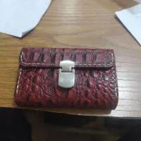 کیف مدارک پیدا شده