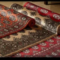 قالی شویی گلبهار سرویس رایگان تحویل 2روزه|خدمات نظافت|اهواز, کوروش|دیوار
