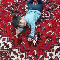 فرش دستباف  بارماغ توخوش