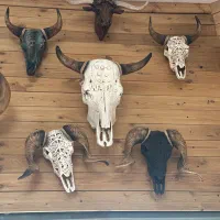 مجسمه و اکسسوری|مجسمه، تندیس، ماکت|شاهرود, |دیوار