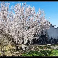 ۵۰۰متردوکله شهرکی آب برق گاز۴دیواری معاوضه باخودرو