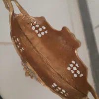 کشکول برنجی|کلکسیون اشیاء عتیقه|اراک, |دیوار