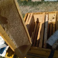 عسل درجه یک بهاره سرای و گرده گل