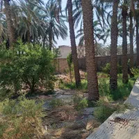 زمین فروشی