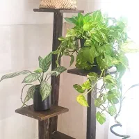 فقط استند گل فروشیه