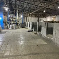 کارخانه شالیکوبی واقع در روستای سوته فریدونکنار