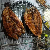 نیروی ساده آقا یا خانم