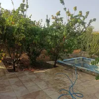 باغ ۱۲۰۰م بهاران با دیوارکشی کامل و آب شهری|فروش دفتر صنعتی، کشاورزی، تجاری|پیر بکران, |دیوار