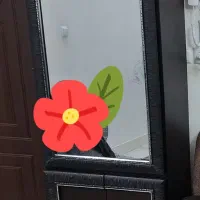 مبل راحتی ۷ نفره-جلو مبلی-جاکفشی کمد دار-ویترین|مبلمان خانگی و میز عسلی|رودسر, |دیوار