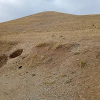 زمین ۲۵۰ متر مربع