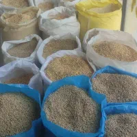 15تن دان خوراک مرغ زنده تخمگذار ومرغ ماشین موجوده