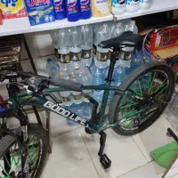 دوچرخه گود لایف