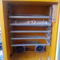 دستگاه جوجه کشی مدبر