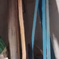 دستگاه قالیبافی|ابزارآلات|خوی, |دیوار