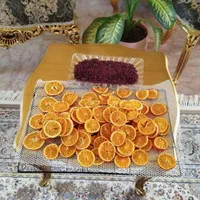 نارنگی خشککن میوه خشک کن پرتقال خشک کردن مرکبات|ماشین‌آلات صنعتی|قائم‌شهر, |دیوار