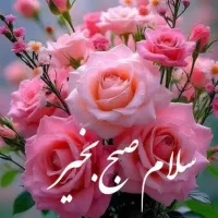 سیم کارت ۰۹۱۲۶۲۱۸۴۸۶